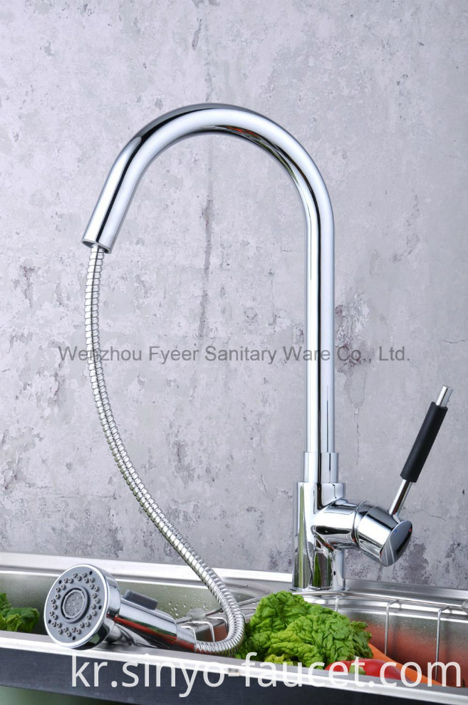 Pull out Spray Brass Kitchen Sink Faucet (QH0784)
